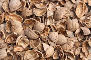 Nut Shells